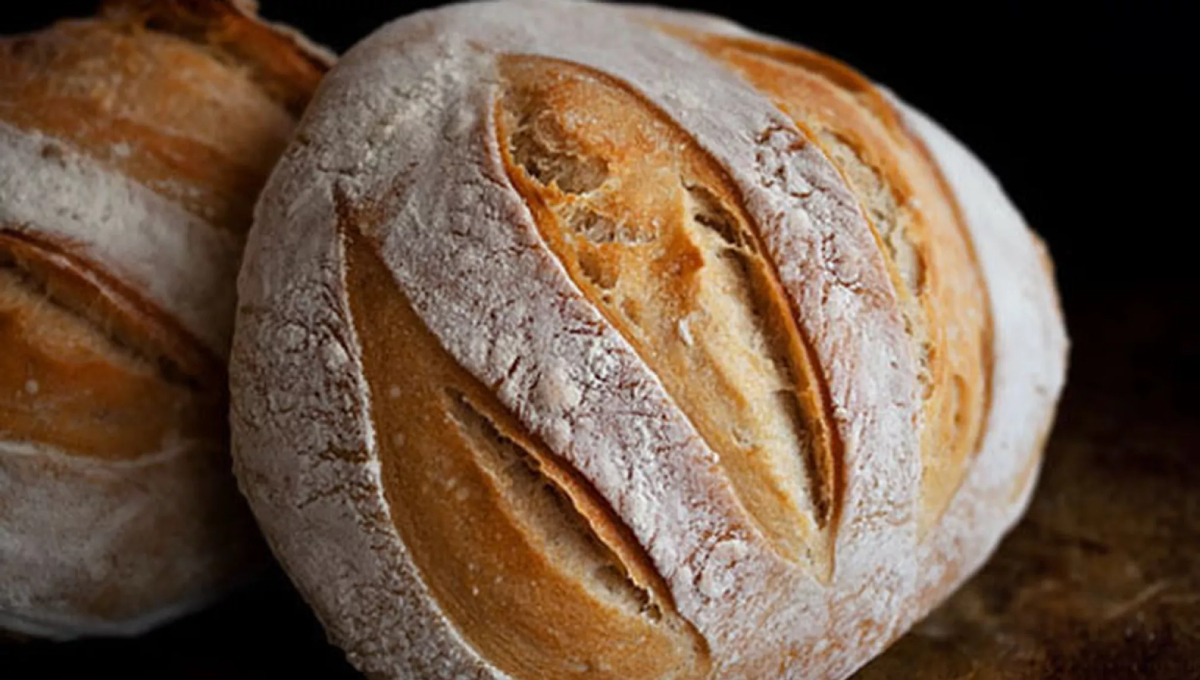 Science of sourdough: A Journey to the Heart of Artisan Bread
