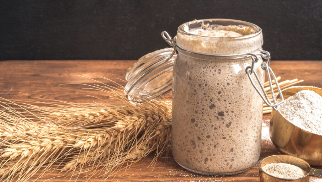Sourdough Timeline: Understanding the Fermentation Process