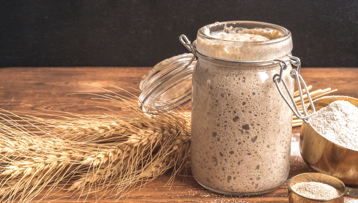 Sourdough Timeline: Understanding the Fermentation Process