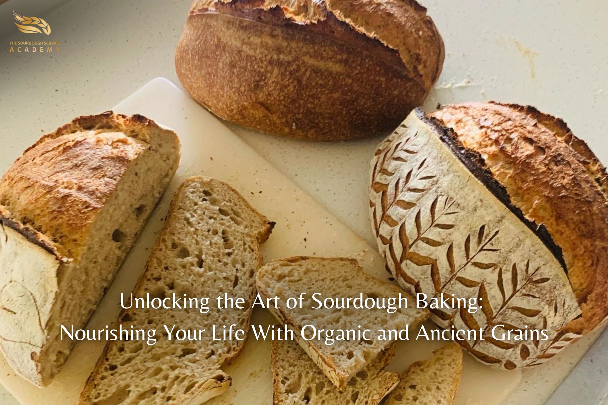 Bread