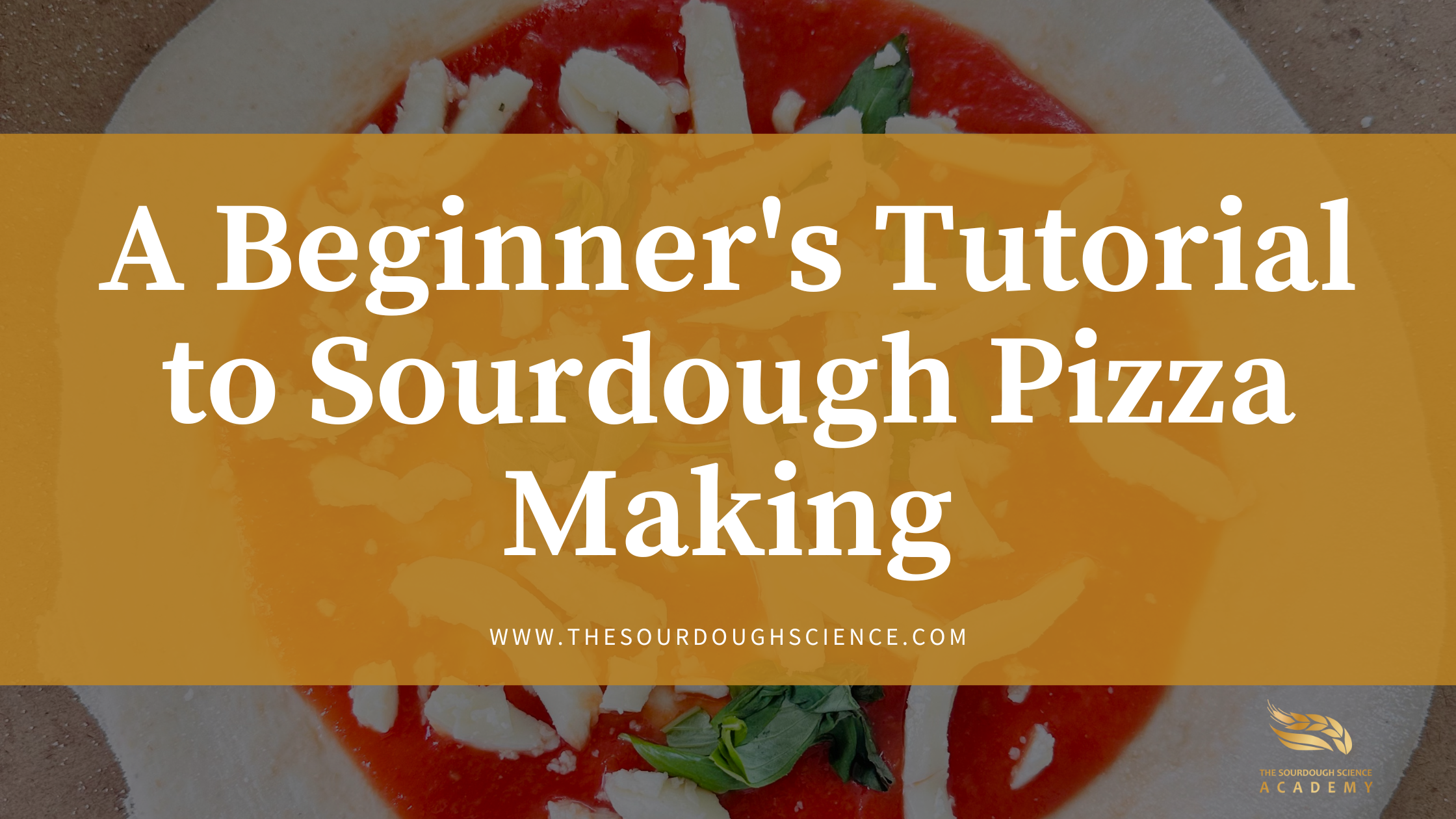 sourdough pizza