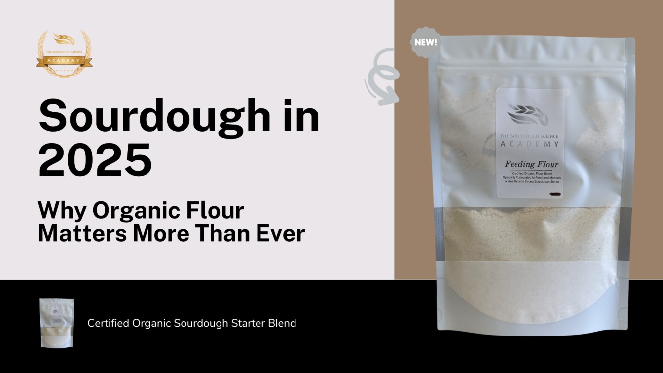 Certified-Organic-Sourdough-Starter-Blend
