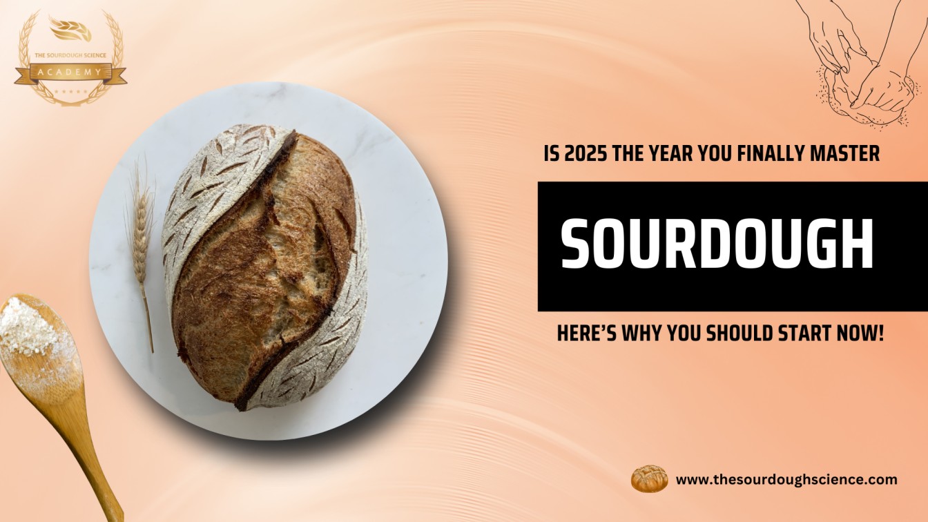 Is 2025 the Year You Finally Master Sourdough