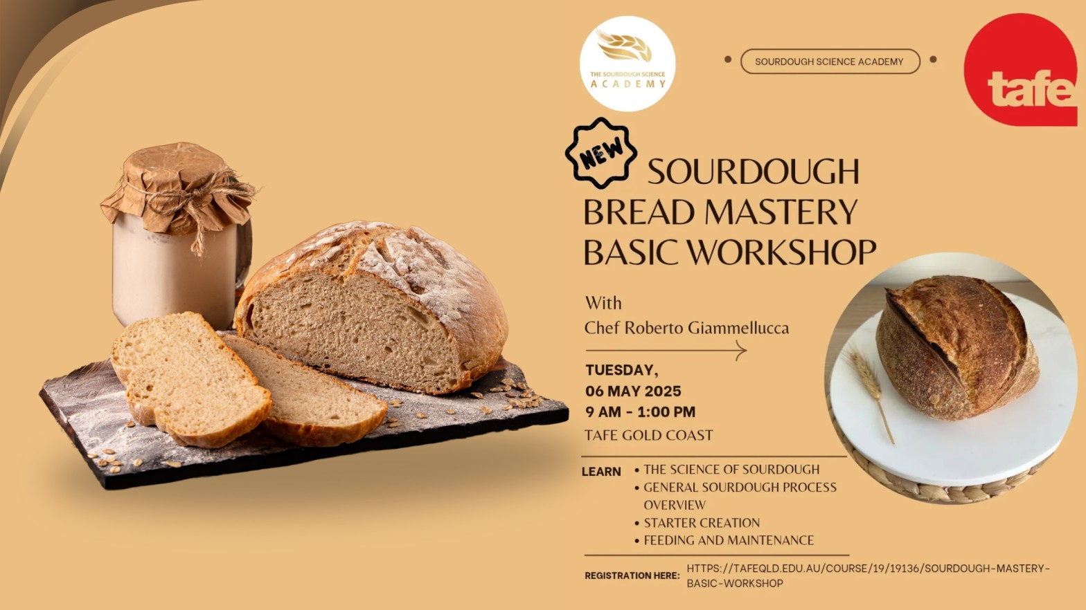 8-Day-Sourdough-Transformation