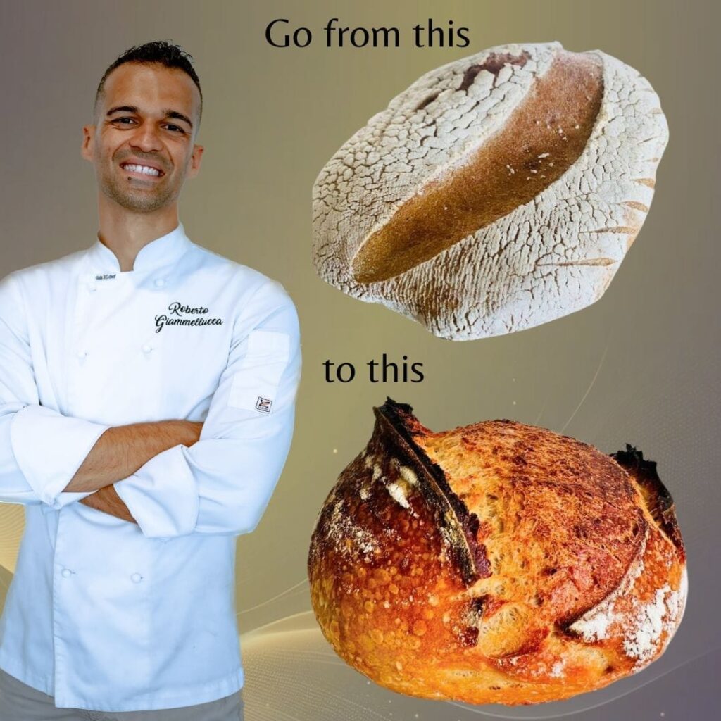 The 2 Hours Sourdough Method Webinar Registration