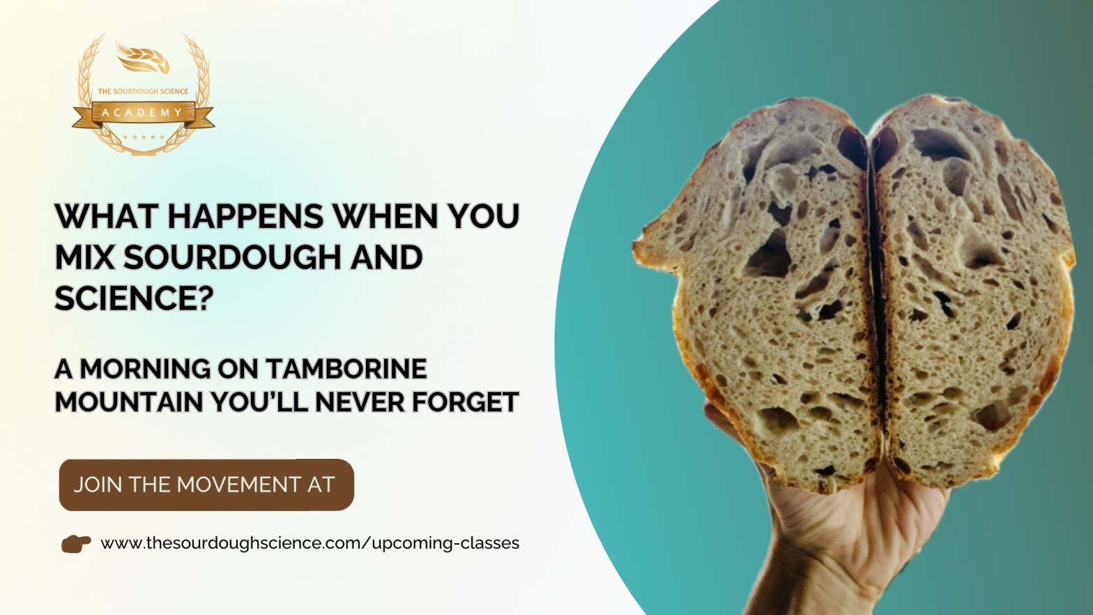 What-Happens-When-You-Mix-Sourdough-and-Science