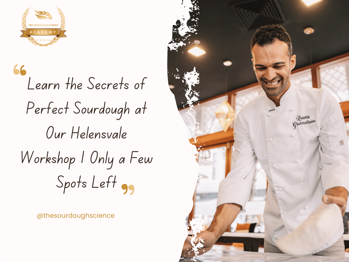 Helensvale Sourdough Workshop