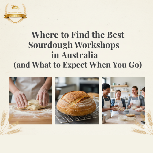 Sourdough Workshops