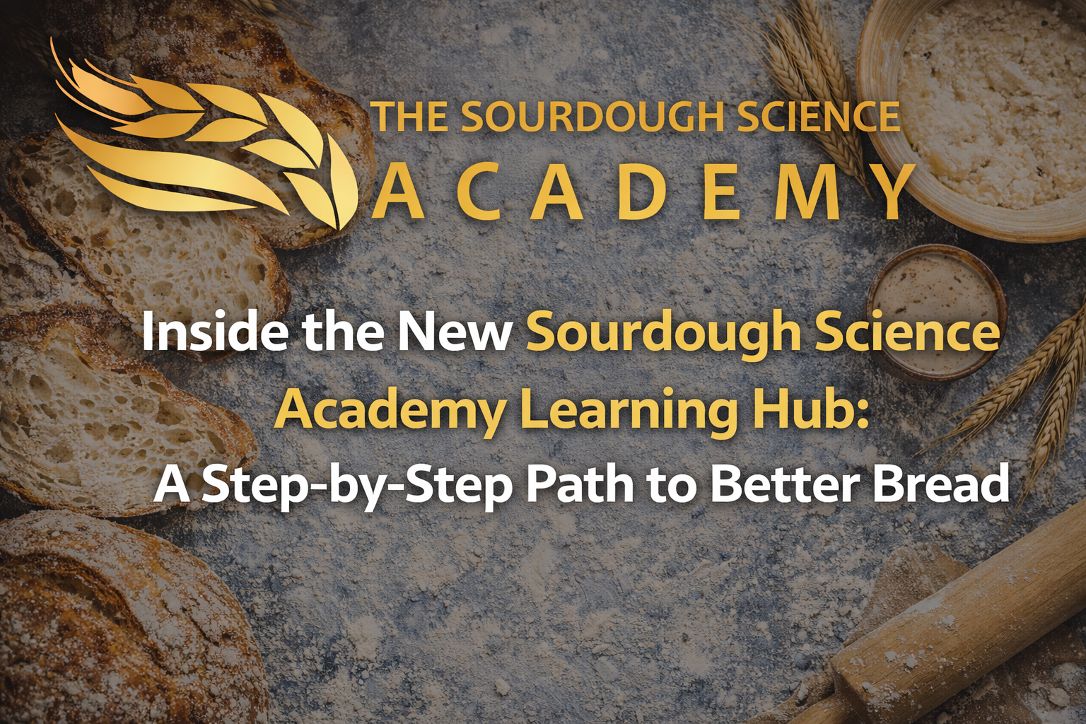Sourdough Science Academy Learning Hub