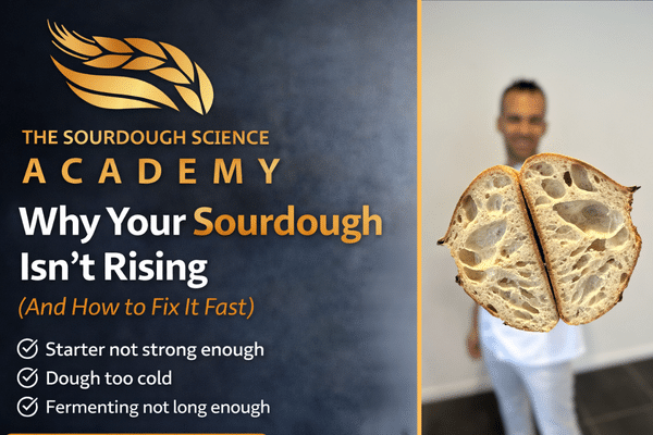 Why Your Sourdough Isn’t Rising