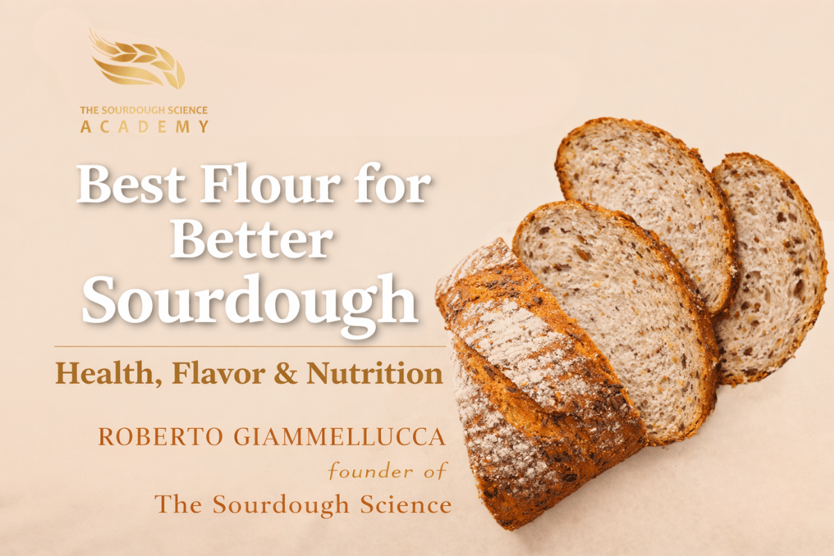 Best Flour for Better Sourdough